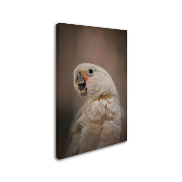 Jai Johnson 'Lots To Say Cockatoo' Canvas Art,30x47